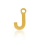 Stainless steel charm initial J Gold
